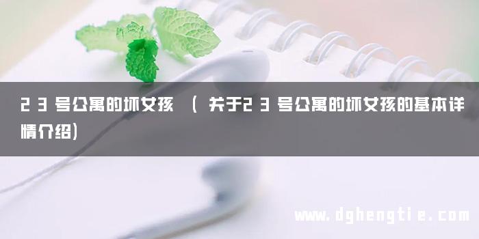 23号公寓的坏女孩 (关于23号公寓的坏女孩的基本详情介绍)